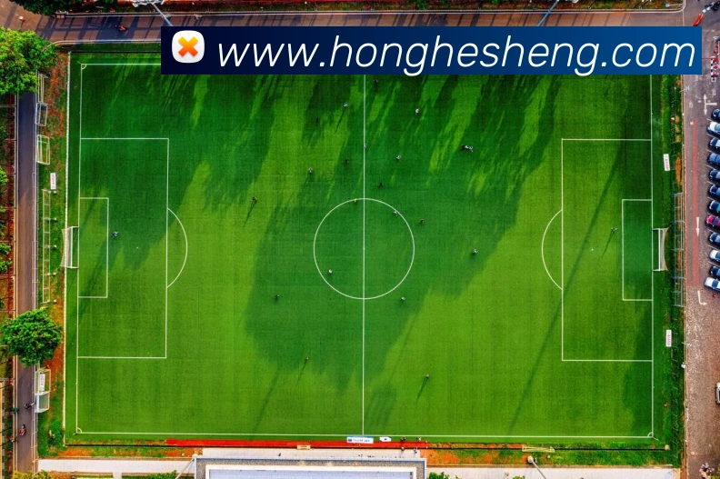 世界杯购买入口平台生态图